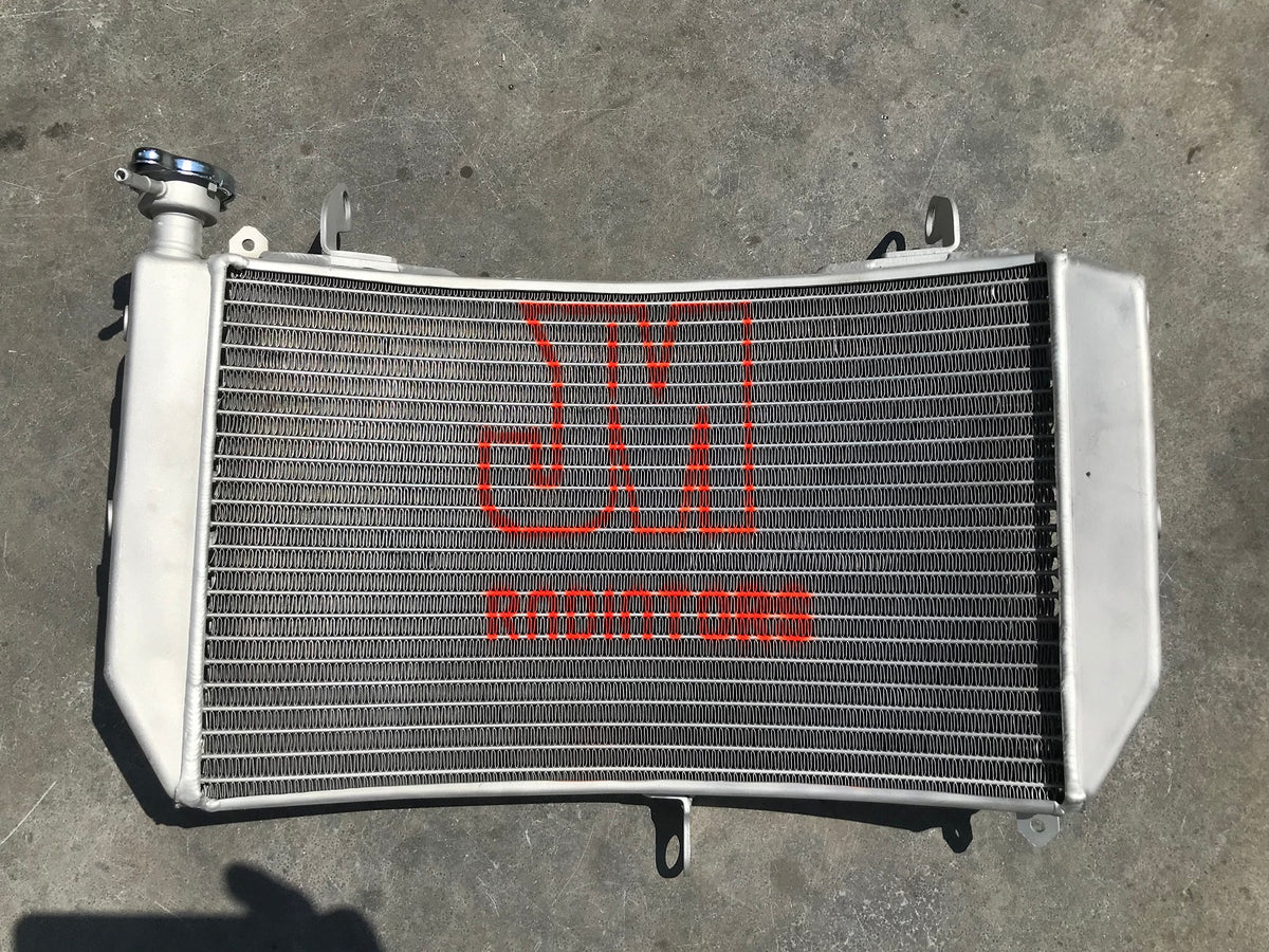 R1 2015 onwards Original Large cooler