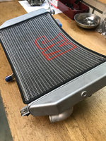 Radiateurbeschermer RVS originele radiateur